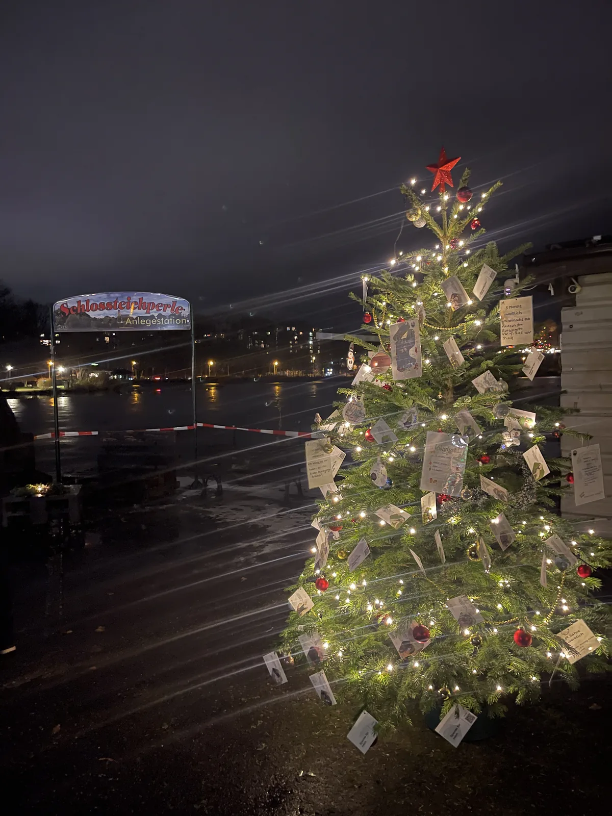 Beleuchteter Weihnachtsbaum mit Wunschzetteln am Schlossteich bei Nacht