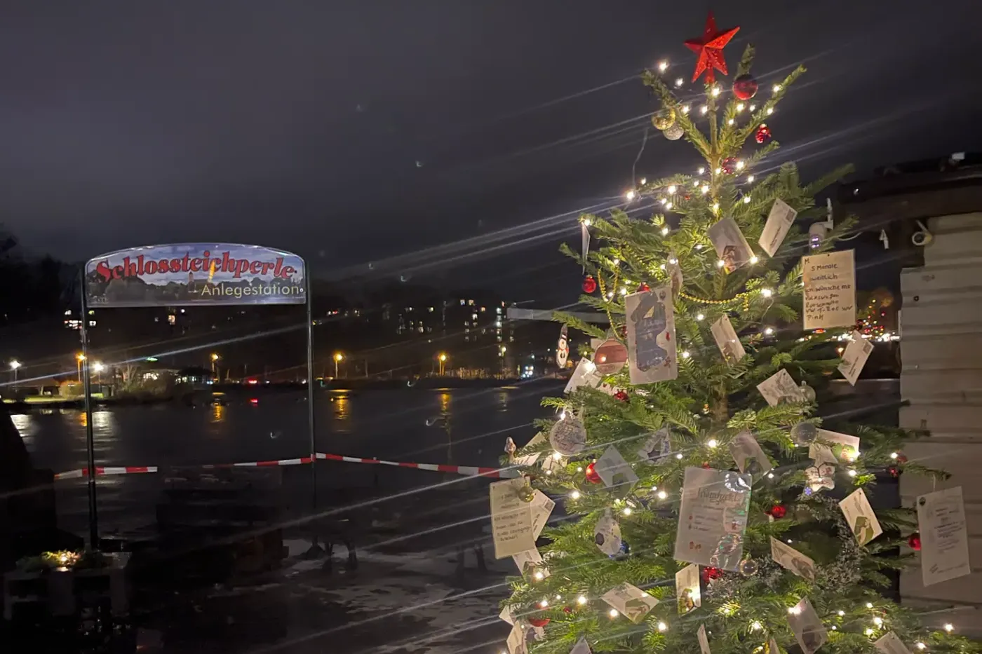 Beleuchteter Weihnachtsbaum mit Wunschzetteln am Chemnitzer Schlossteich bei Nacht
